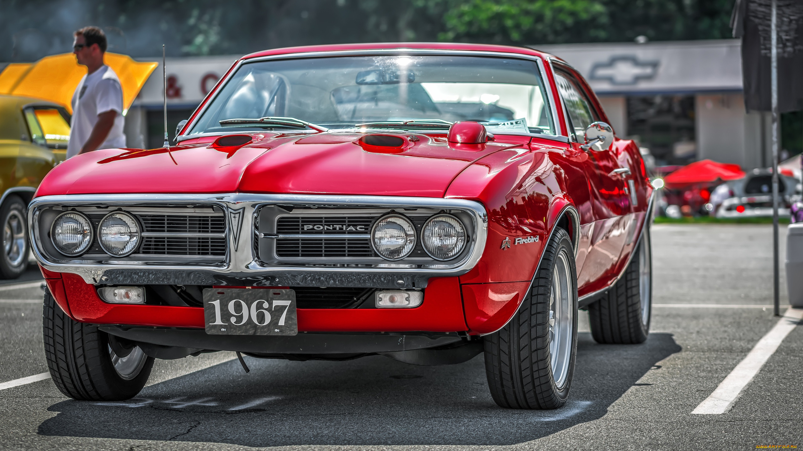 ,    , 1967, pontiac, firebird